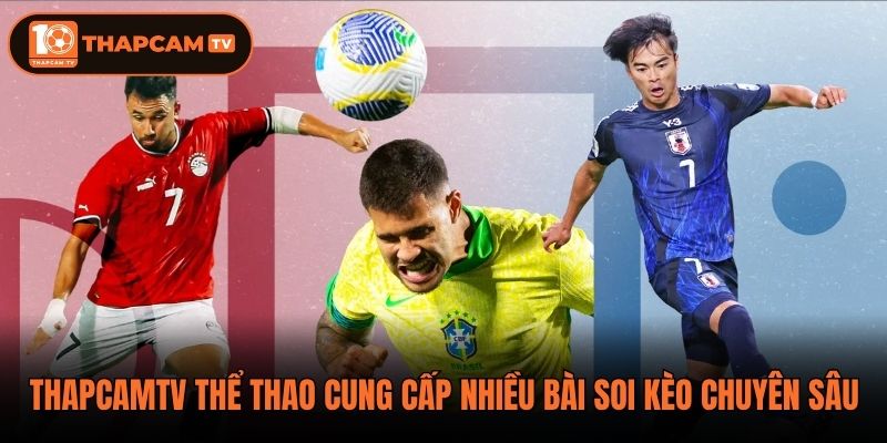 Thapcamtv thể thao cung cấp nhiều bài soi kèo chuyên sâu