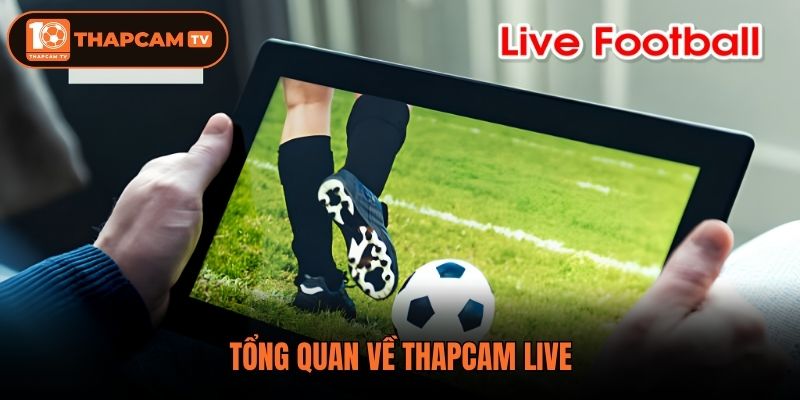 Tổng quan về thapcam live