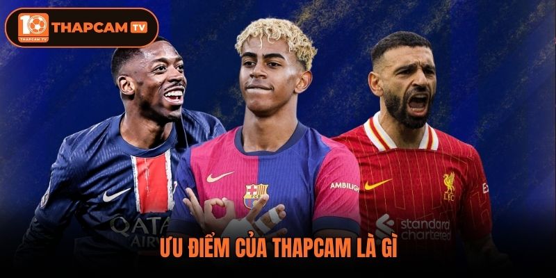 Ưu điểm của Thapcam là gì