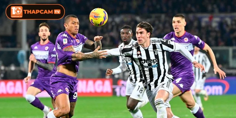 Juventus vs Fiorentina là kèo đấu được đánh giá có sự chênh lệch lớn về tương quan lực lượng.
