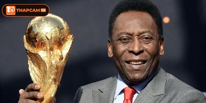 Rất nhiều danh hiệu cá nhân được ghi nhận qua các kỳ World Cup.