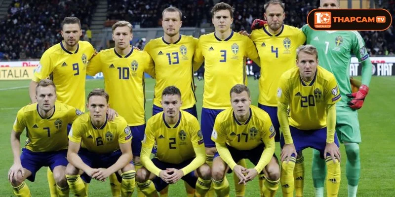 Thụy Điển đã sẵn sàng trở lại World Cup sau 12 năm vắng bóng.